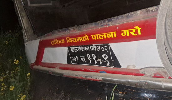 हरियो तरकारीमा शतप्रतिशतसम्म विषादी