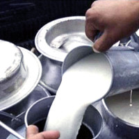 मलसँग मत साट्छौँ भन्छन् किसान