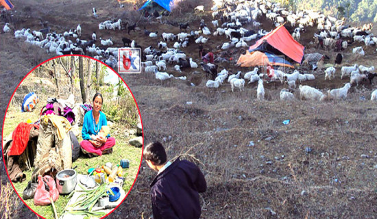 समावेशीकरणको दिशामा नयाँ फड्को : गोरखापत्रद्वारा प्रकाशित भोटे भाषा