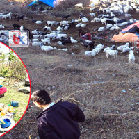 ‘श्री बुकुरा’ को पोस्टर सार्वजनिक