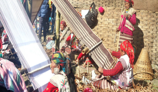 हिउँदे मकै छर्न ‘सिट ड्रिल’ प्रयोग