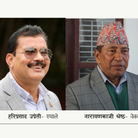 हिउँदे मकै छर्न ‘सिट ड्रिल’ प्रयोग