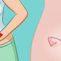 हिउँदे मकै छर्न ‘सिट ड्रिल’ प्रयोग