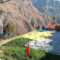 गहुँ मासेर राजनीतिक कार्यक्रम