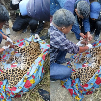 १०० वर्ष अघिको गोर्खापत्र