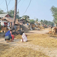 सिदिङ्वामा चार दिन स्थानीय बिदा