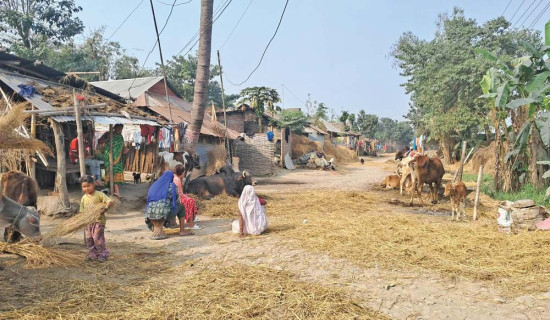 चुनावको नामबाटै झस्किन्छन् विपन्न बस्तीका नागरिक