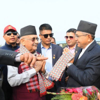 टोपी भिसामा अस्ट्रेलिया