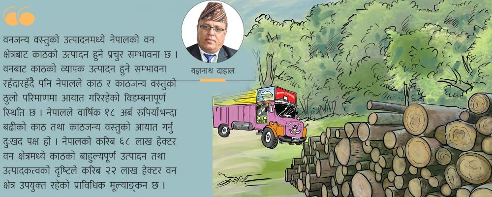 वनको उपयोगबाटै समृद्धि