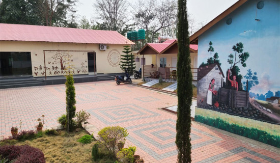 थारू परिकारले फस्टाउँदै रिर्सोट