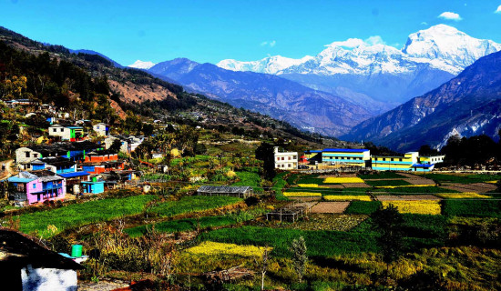 कांग्रेस केन्द्रीय कार्यसम्पादन समितिको बैठक आइतबार बस्ने