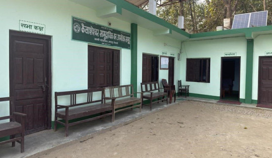 टी–२० विश्वकप : पाकिस्तानको सुखद सुरुवात