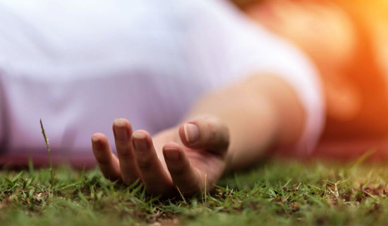 नाइजेरियाको बेन्यु राज्यमा आक्रमण, ३० जनाको मृत्यु