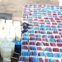 भारतलाई  साफ यु–१९ महिला फुटबलको उपाधि