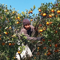 जाइका अलमनाईको अध्यक्षमा भुसाल