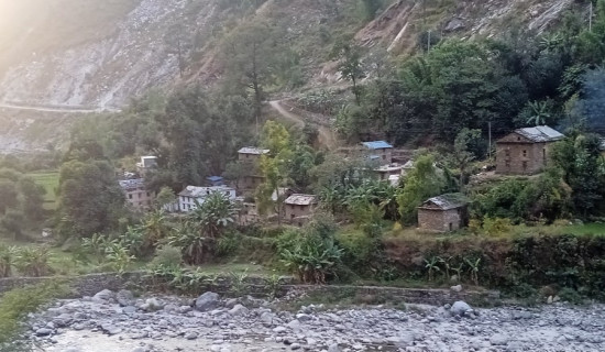 उम्मेदवारको पर्खाइमा ओलेनावासी