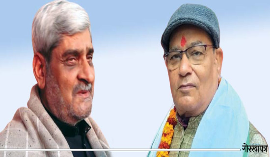 यो निर्वाचनपछि विश्राम लिने घोषणा