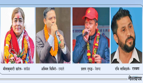 चितवन–२ : मतपरिणाम उल्ट्याउने दाउमा ठुला दल