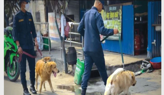 निर्वाचन व्यवस्थापनमा सूचना प्रविधिको भूमिका महत्त्वपूर्ण रहन्छ : प्रमुख आयुक्त भण्डारी