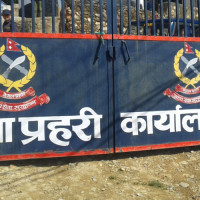 बैतडीमा ३८७ नाल भरुवा बन्दुक प्रशासनलाई बुझाइयो