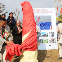 जापानमा ताकाइचीको ठूलो जितको अपेक्षा