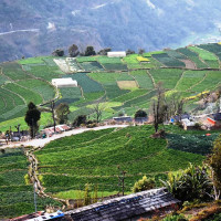 म्याग्दीमा निर्वाचनका लागि एक हजार ७१ कर्मचारी परिचालन हुने