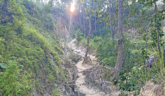 विदेशी लगानीकर्ताको सहजीकरणका लागि ‘फोकल युनिट’ स्थापना