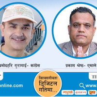 दलहरूको घोषणापत्र : आर्थिक एजेन्डा समेट्न सुझाव