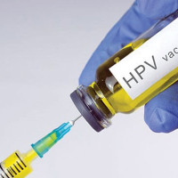 बस्तीबाट उद्धार गरिएको पोथी भालुलाई प्राकृतिक बासस्थानमा छोडियो