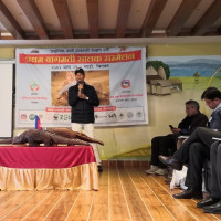 वीरगन्जको भन्सारको राजस्व पेट्रोलियम पदार्थ र सवारी आयातमा निर्भर