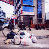 बुद्धिमानी नानी