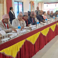 विकासका लागि प्रणालीगत सुधारमा लाग्नुपर्छ : सभापति थापा