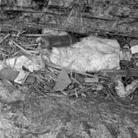 घोषणापत्र मतको आधार