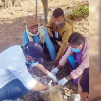 भूकम्पले जुम्लामा पाँच घाइते : दर्जनौँ घर चर्किए