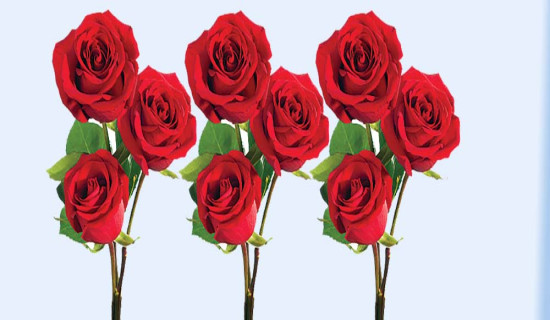 ७० प्रतिशत आयातकै भर