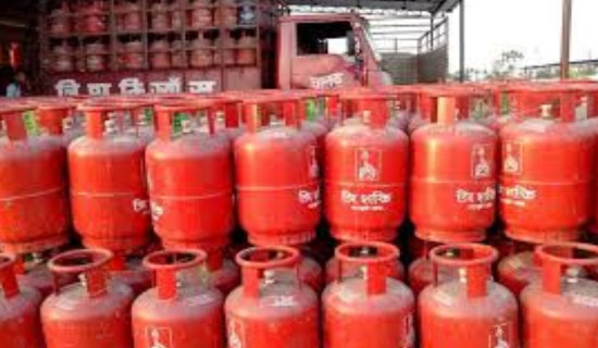 खाना पकाउने ग्यासको अभाव देखिएपछि अनुगमन गर्दै विभाग