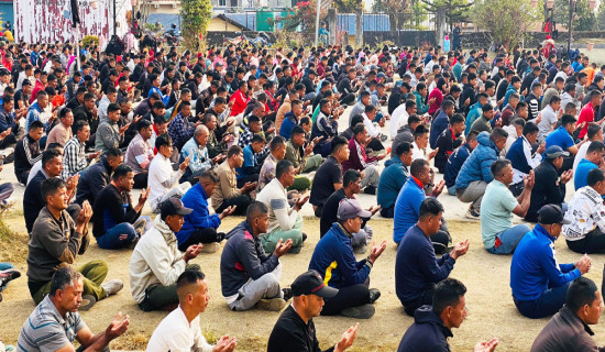 जैमिनीमा जिप दुर्घटना, सहचालक घाइते