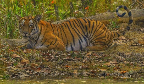 ‘अर्थतन्त्रको पुनरुत्थान पहिलो प्राथमिकतामा’