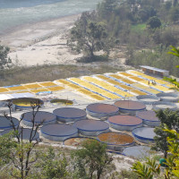 इच्छाशक्तिले कमाएको नाम र दाम