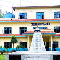 पाल्पामा सत्ता साझेदारदलद्वारा उम्मेदवार बाँडफाँड