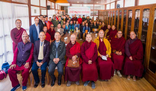 टी–२० विश्वकप : कीर्तिमानी साझेदारीसहित युएईमाथि न्युजिल्यान्डको सानदार जित