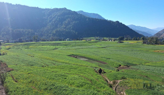 नेपाल–भारत सुरक्षा सहकार्य सुदृढीकरणमा जोड