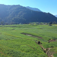 ल्होसार कप : खुम्बु र आमादब्लाको जित