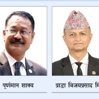 चार वर्षीय छोराद्वारा पत्रकारलाई दागबत्ती