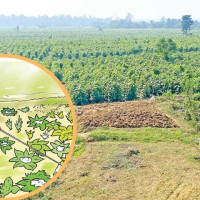 रातो मच्छिन्द्रनाथको मन्दिर