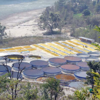 छायाँनाथ धाम जाने झोलुङ्गे पुल सञ्चालनमा