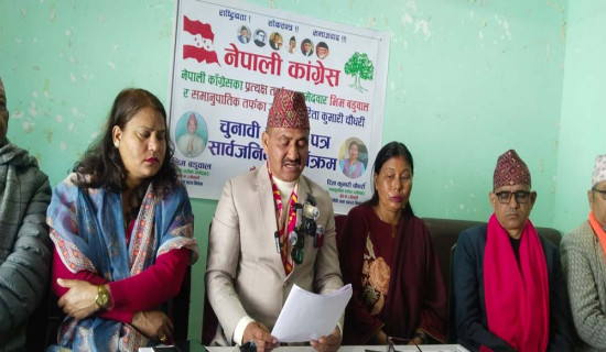 चुनावी घोषणापत्र सार्वजनिक