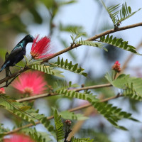 आजको राशिफल