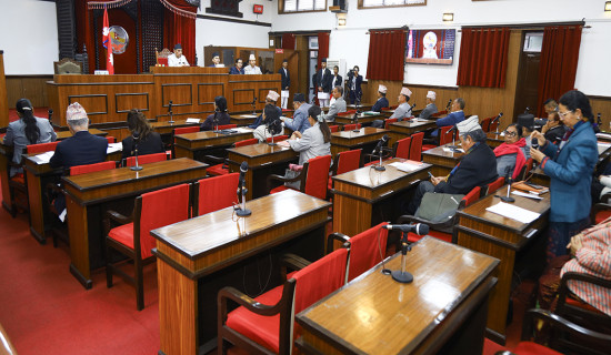 राष्ट्रियसभाबाट  चलचित्र विधेयक पारित