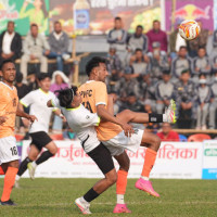 राप्तीमा थप २० घडियाल छाडियो